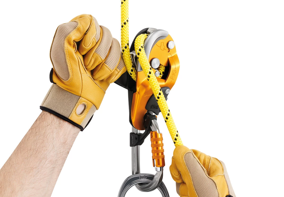 Petzl RIG - Image 4