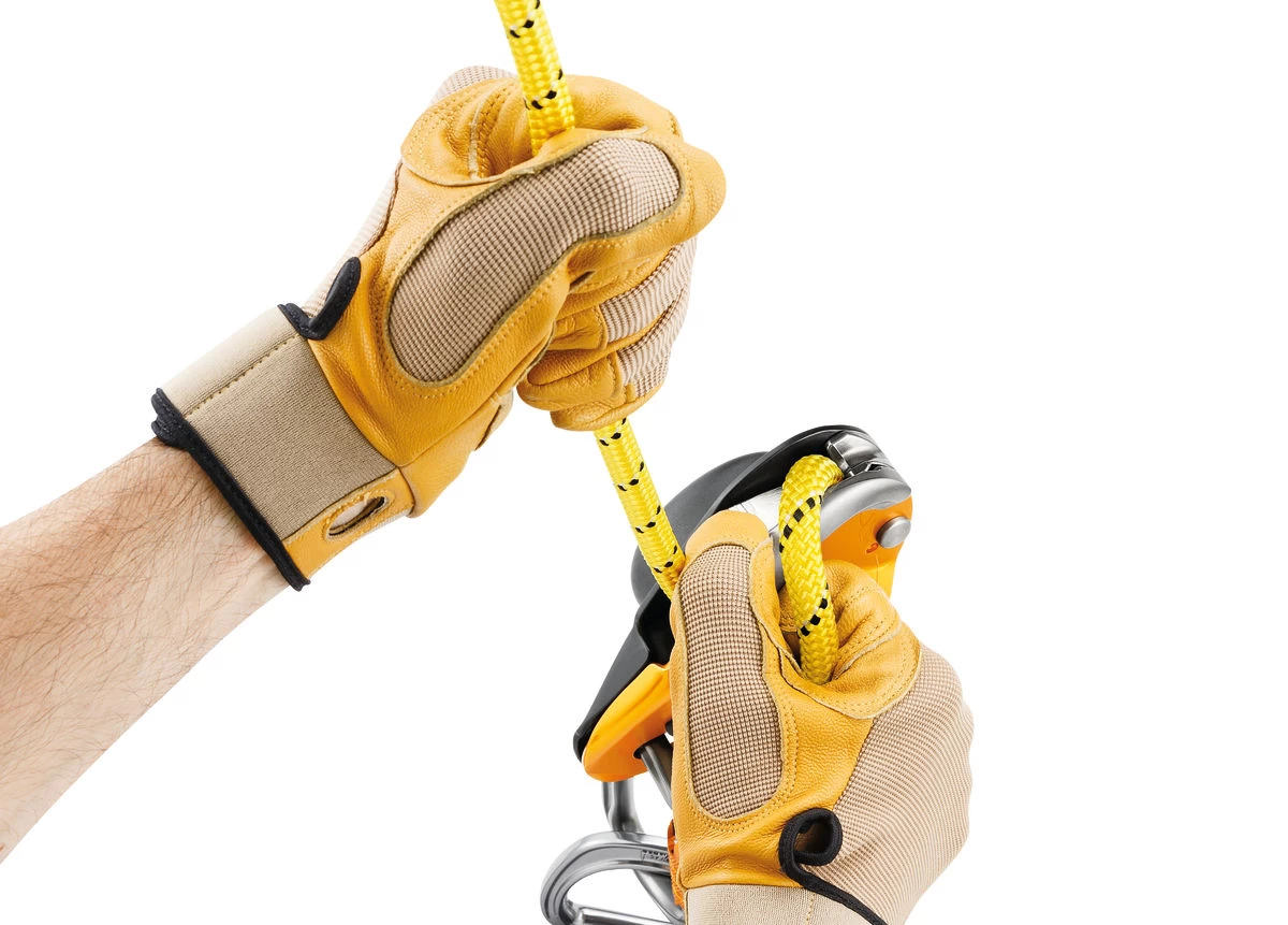 Petzl RIG - Image 3