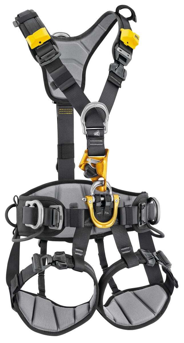 Petzl ASTRO International version